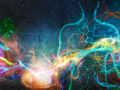 Omeostasi: quanto influisce sull’equilibrio energetico