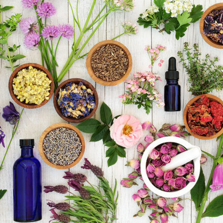 Floriterapia: cos’è, perché fa bene e i suoi utilizzi