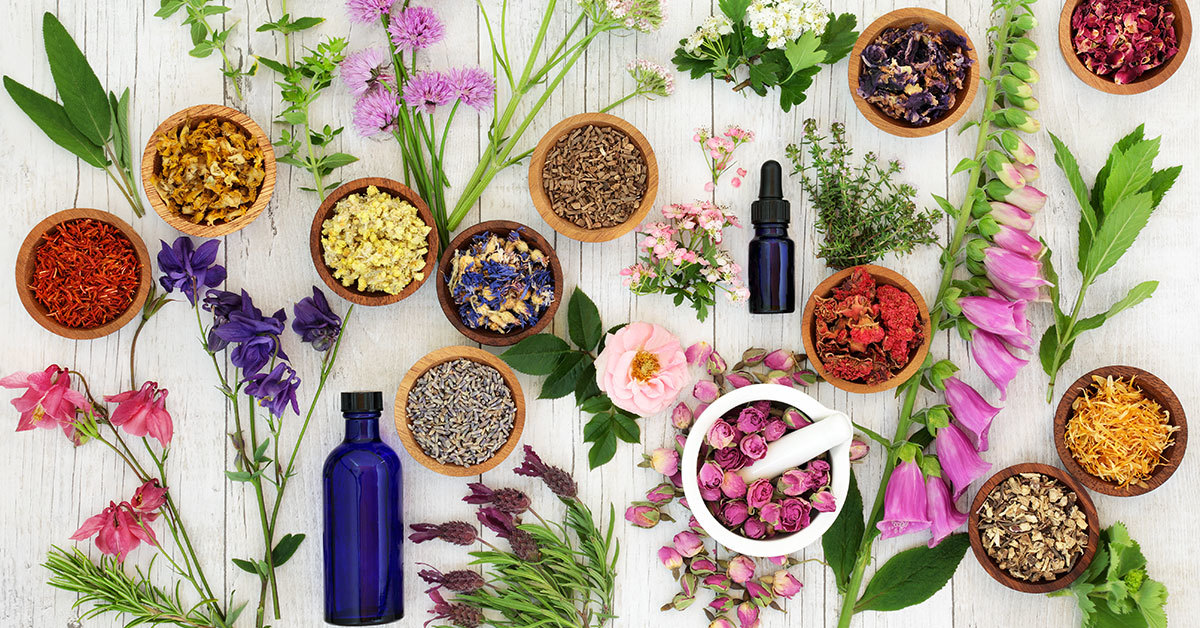 Floriterapia: cos’è, perché fa bene e i suoi utilizzi