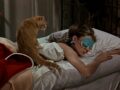RIFARE IL LETTO: BENEFICI E MITI DA SFATARE