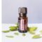 Wintergreen doTERRA, l’olio essenziale per molti usi importanti